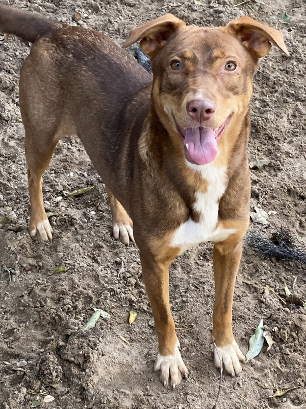 59E49A4B-9AC7-4F9B-933A-172B7E8254E0