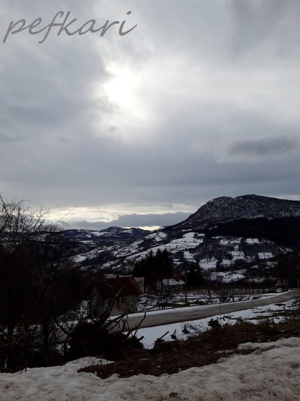 Slika