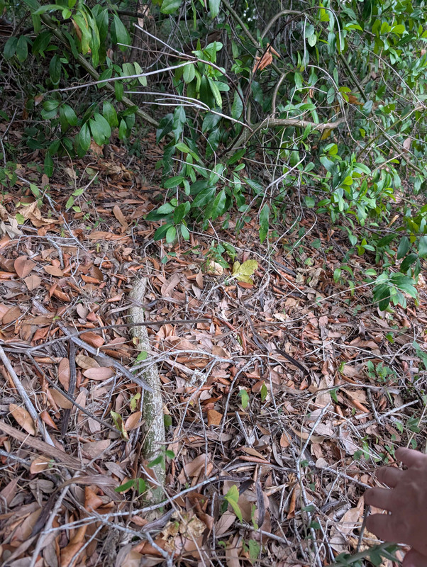 PXL_20250503_234813892