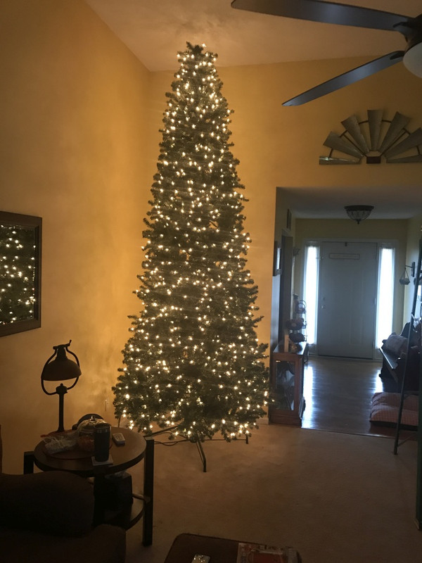 New Tree-Sm