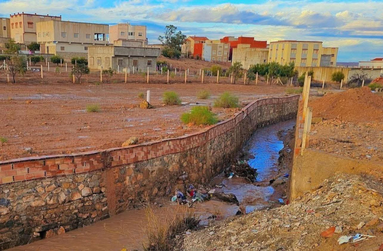 600699875-3477263522452703-6779380632609131379-n