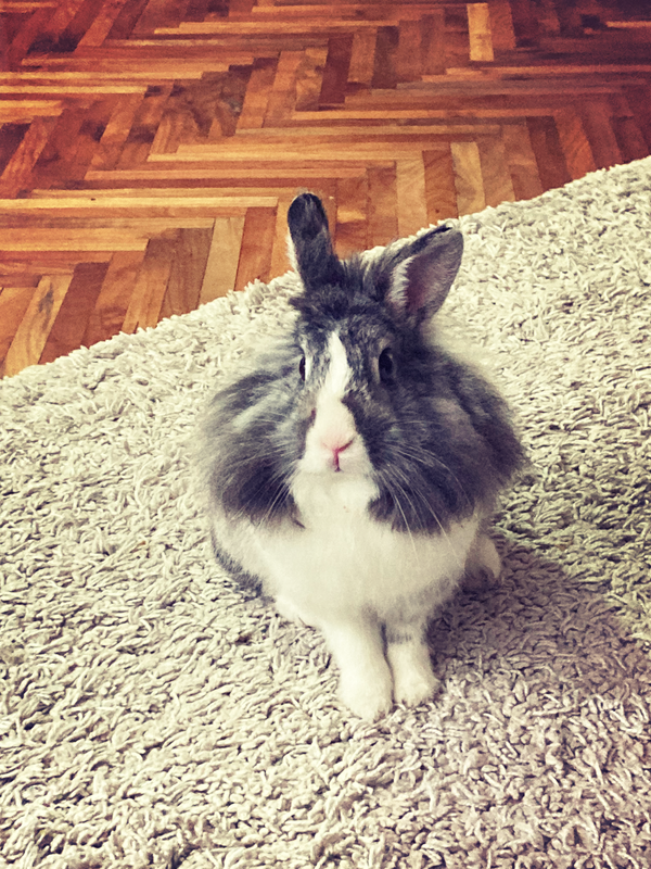 3FD8E805-D6B9-4826-8E95-E75FBB679C7B