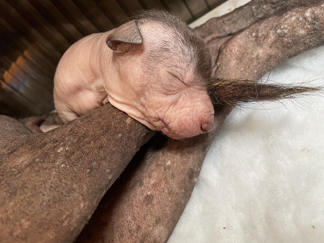 45200DE8-070B-42EB-9040-2C9E4A5F2680_1_201_a