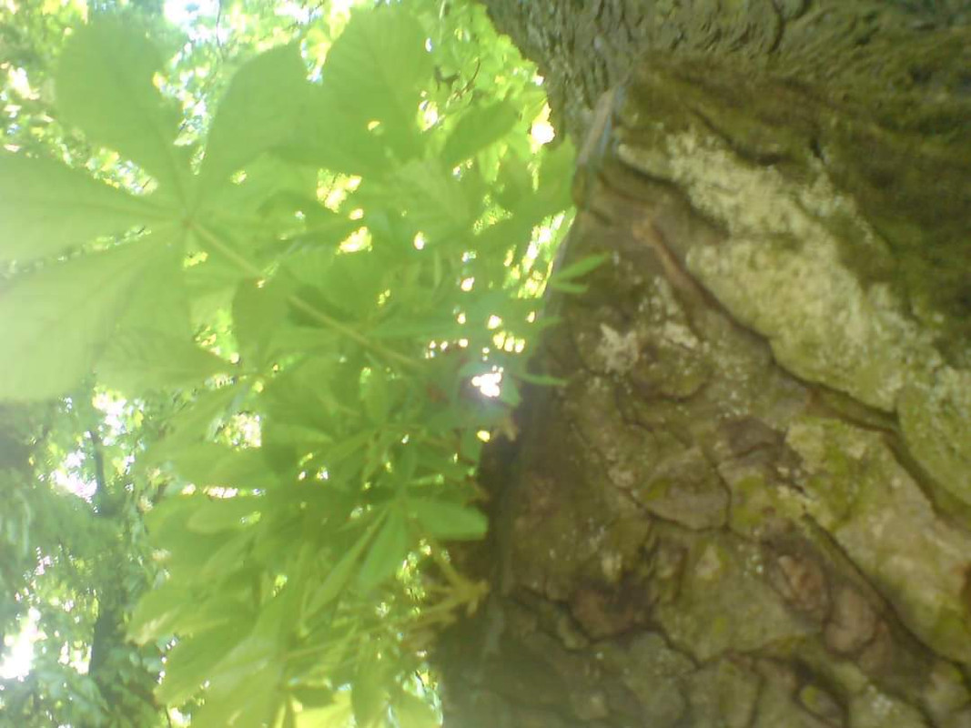 FB-IMG-1716526687506