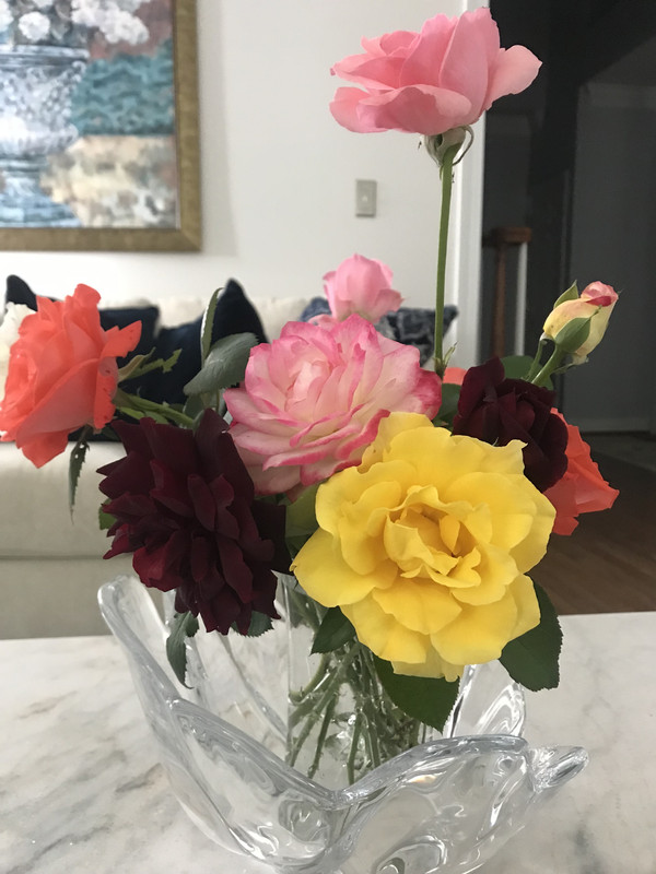 4DCE6137-5DC2-4067-B3C2-704A4566A2DC