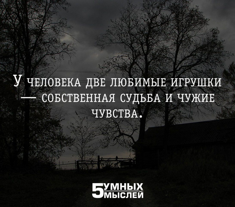 2 любимые игрушки