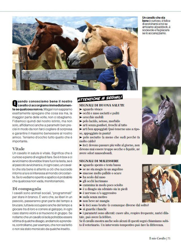 Il Mio Cav (Set-Ott 2024) 8