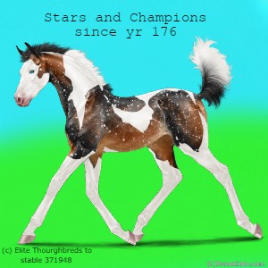 Stars-and-Champions.jpg