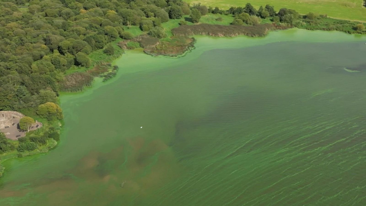 To know more about the Lough Neagh Northern Ireland