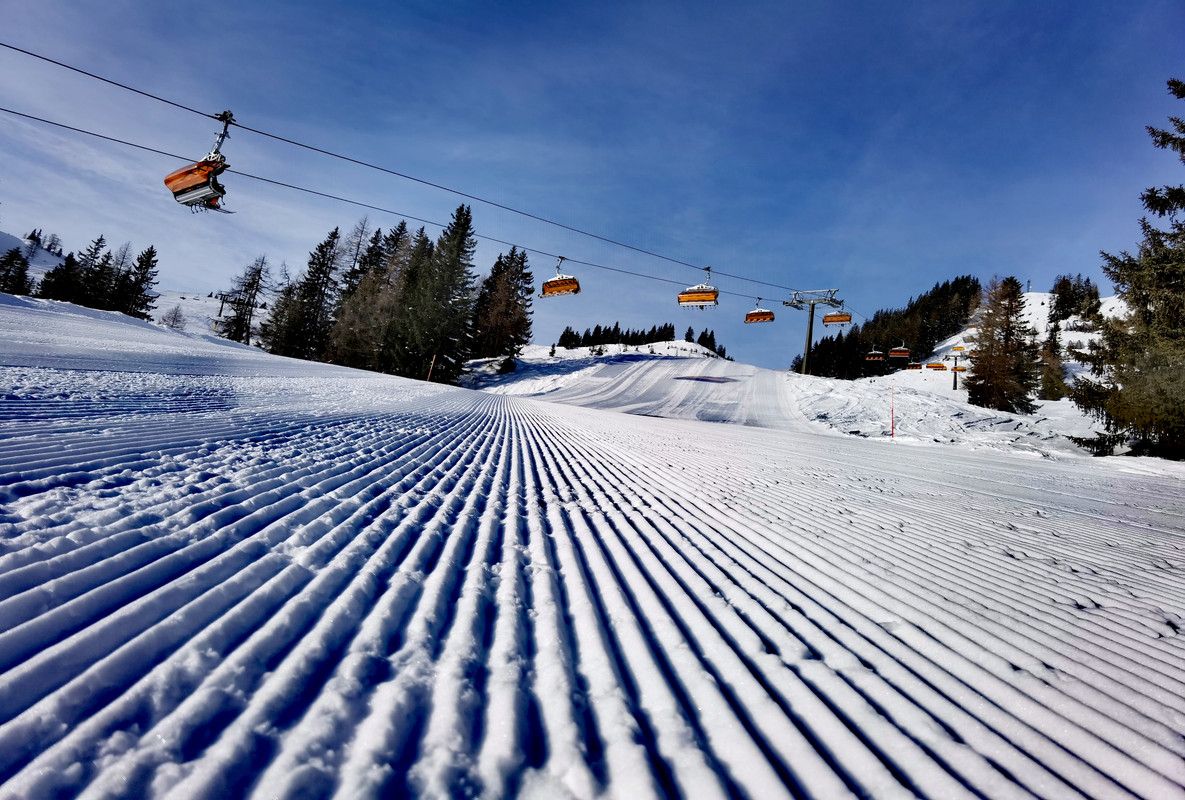 IMG_20220127_094721_edit_468572696998813