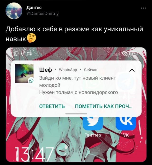 17183595.jpg