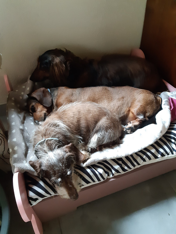 [Image: 20210704-191642.jpg]