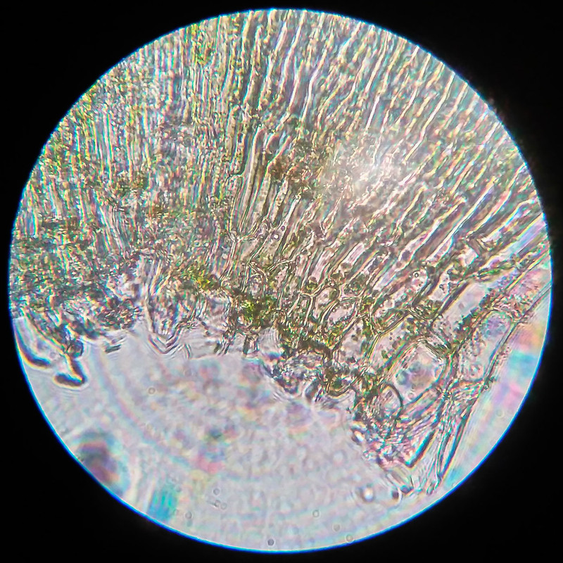 IMG 20250616 220220 HDR