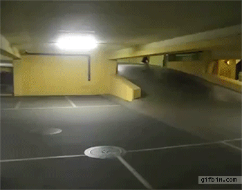daily-gifdump-3395-12.gif