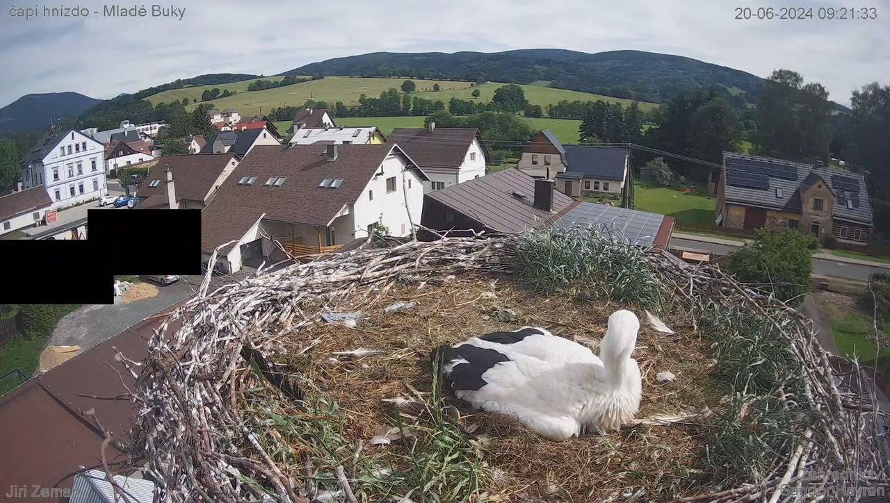 Tiešraides kamera — Mladé Buky — stārķa ligzda 1-16-27 screenshot