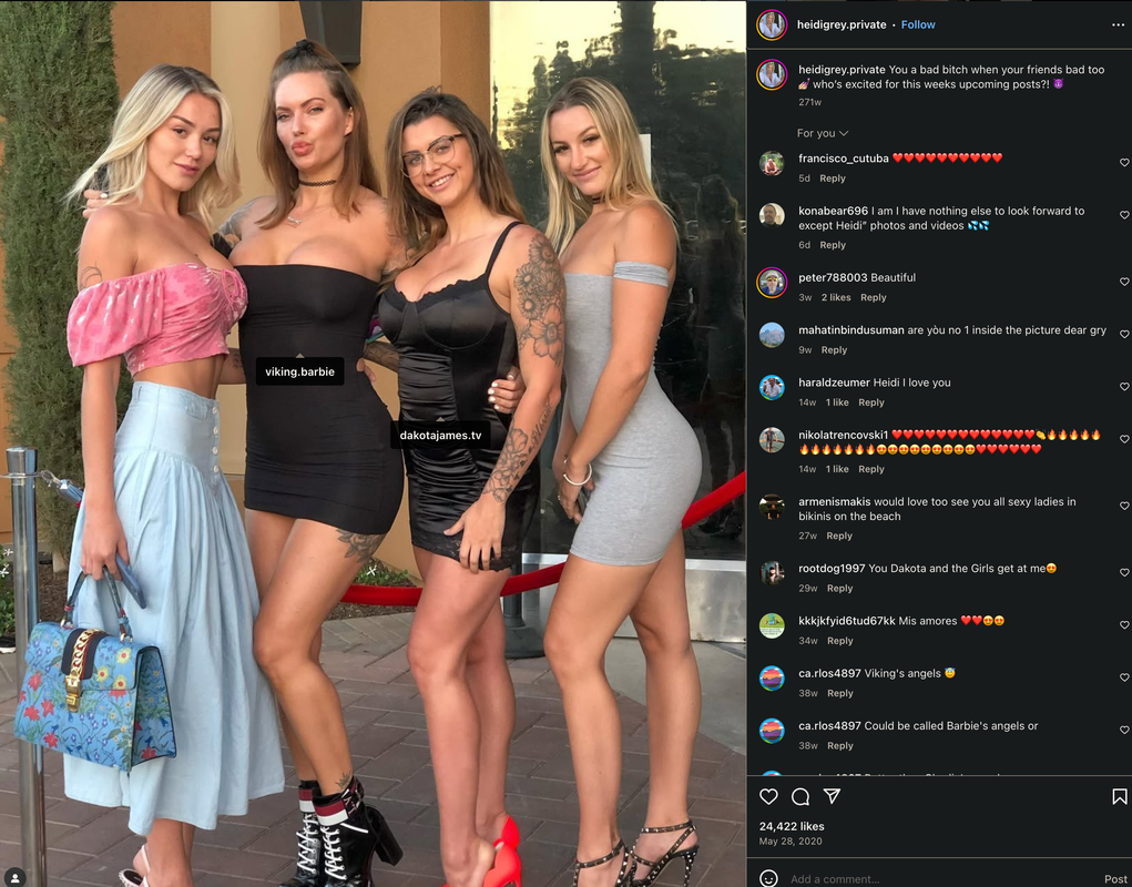 heidi grey, dakota james and heidi grey in answer #2307913