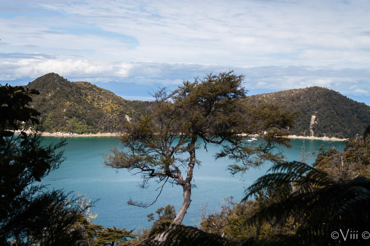 Día 7. Abel Tasman - Nueva Zelanda/Islas Cook - Viaje de novios a la Tierra Media (7)