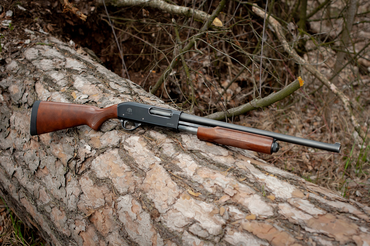 Имя документа4162-1_15