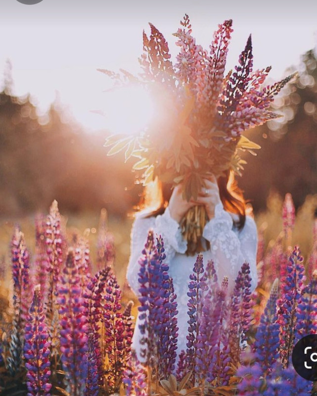 Screenshot_20240209_212035_Pinterest