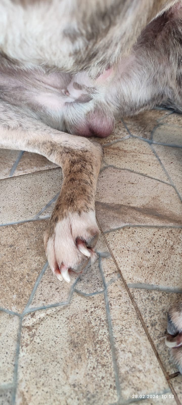 WhatsApp Image 2024-02-28 at 10.58.38 (1)