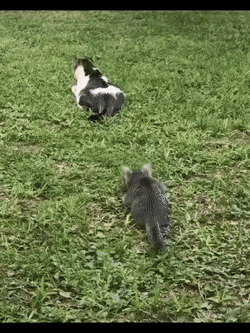 daily-gifdump-3400-28.gif