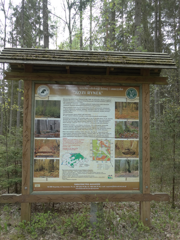 12.04 - DSC09568 (Czesio1)