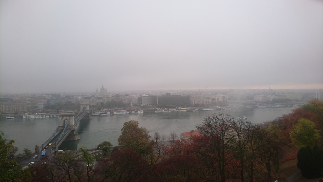 Photo 2019 11 05 08 22 54