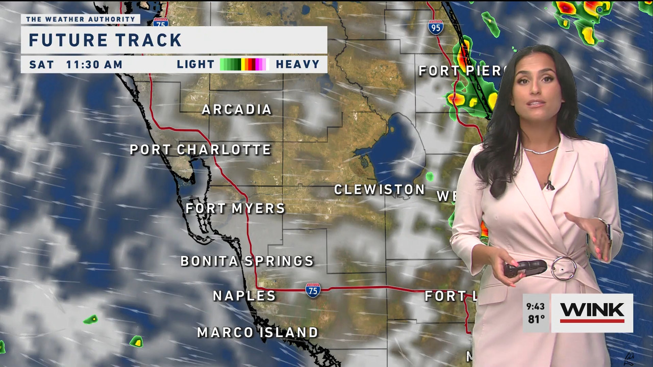 WINK News at 9 00 a.m. 2022_07_23_14_00_00.ts_snapshot_00.46.00.649