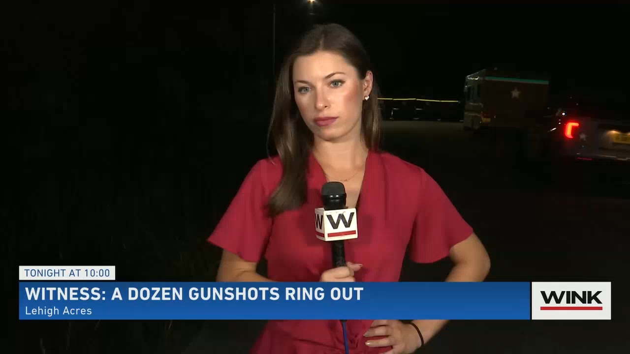 10.15 - 03.00.00 - WINK News at 10 00 p.m..ts_snapshot_11.03.885