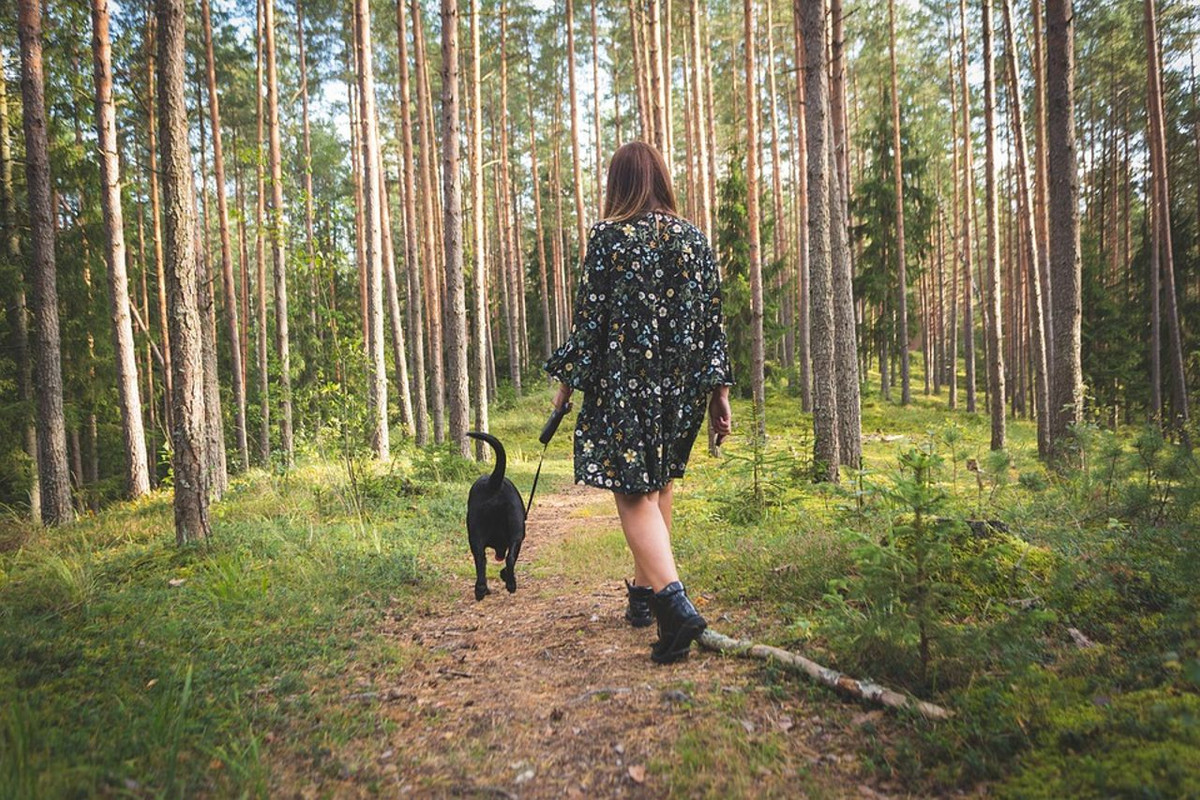 passeggiata bosco natura