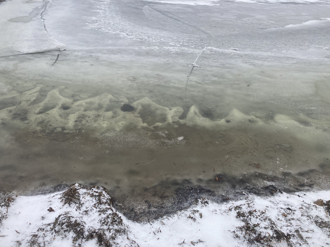 2E9AC3DD-111A-4645-9280-E334DA742823