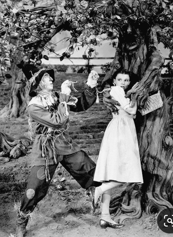 Screenshot_20240215_232006_Pinterest