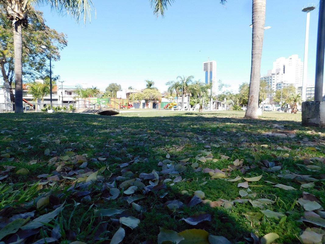 DSCN0198.jpg