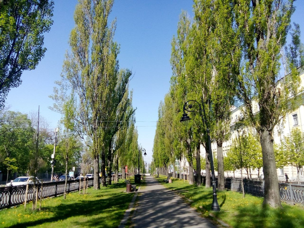 photo_2025-04-22 9.55.26 пп