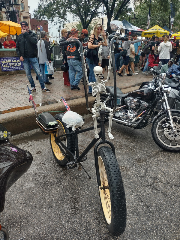 IMG_20241102_172419648_HDR