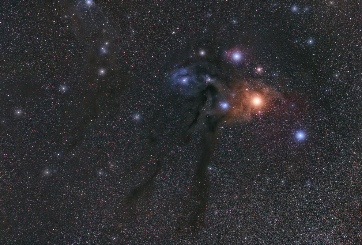 master-Light-Rho-Ophiuchi-ABE.jpg