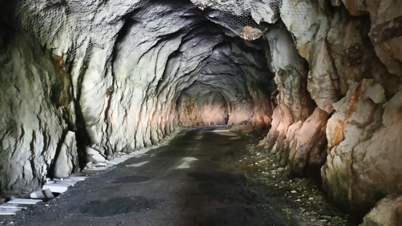 IMG20250720150538 (Large)