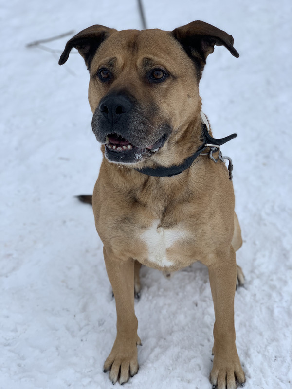 240AD0D4-0013-4F9A-9AA0-2BF1608617C6