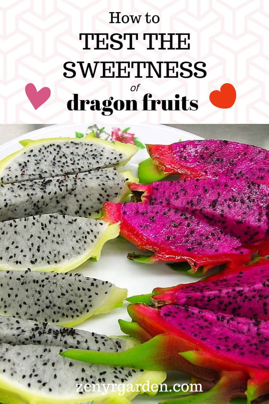 how-to-test-the-sweetness-of-dragon-fruits.jpg