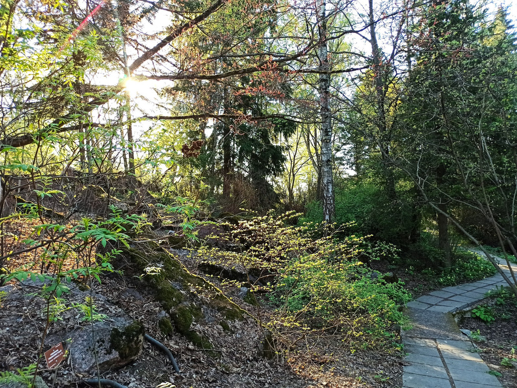 491414324_9523958291029012_7322793885530250702_n