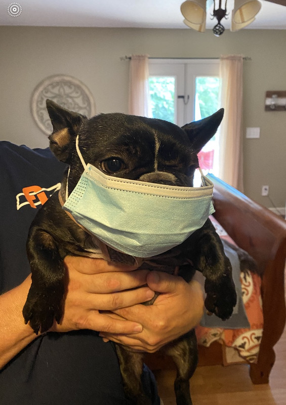 935AA646-F095-4FDE-A790-222D7D9F2874