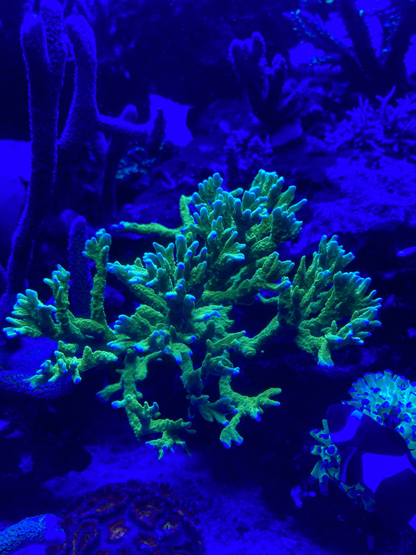 6C7EED5D-67D9-4E5C-8975-2458AE701B69