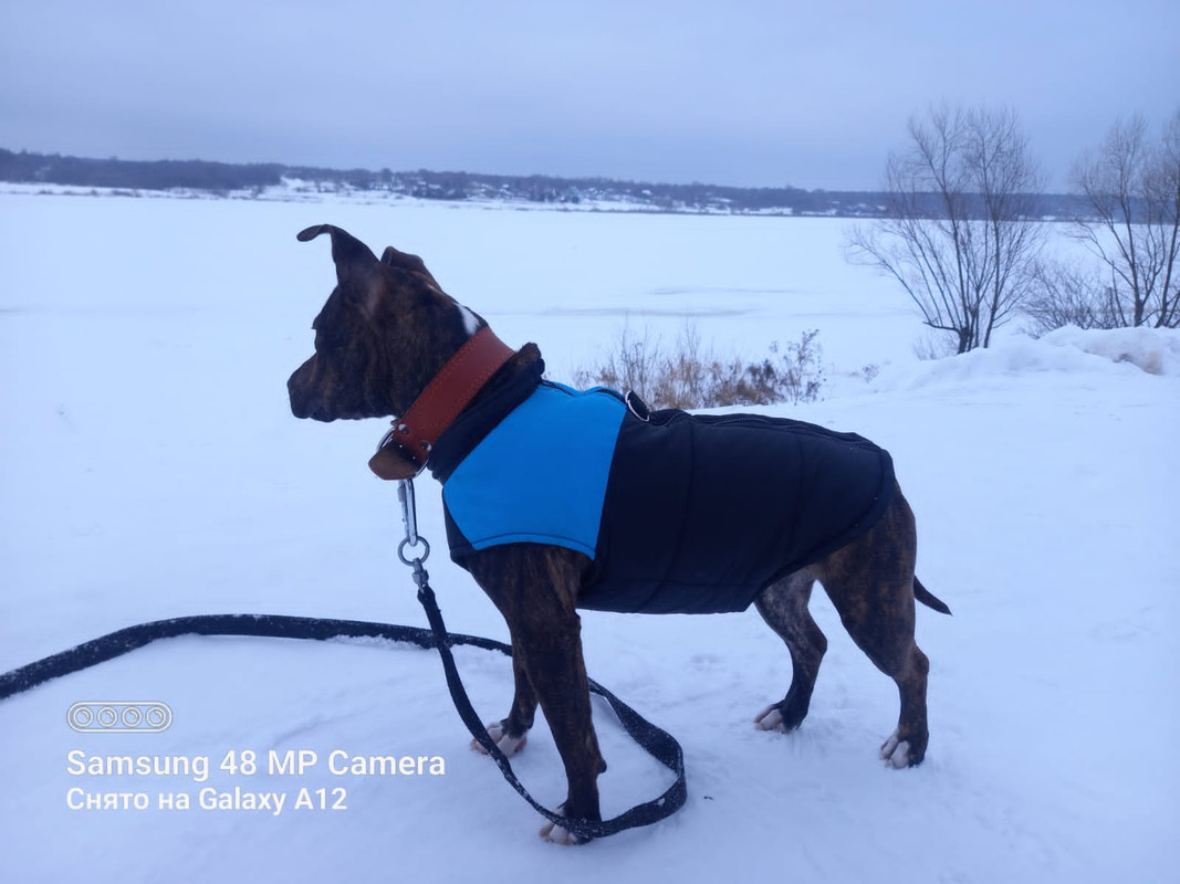 064372AA-A334-4644-BE79-D2AD94F404E4