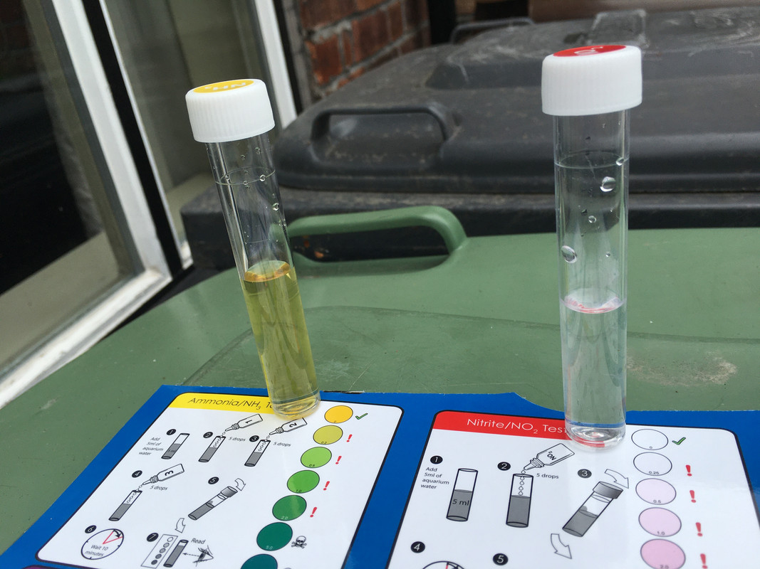 A73FA4C1-1742-4938-BB9E-90D3060F4495