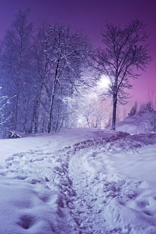 purplesnowscene.jpg