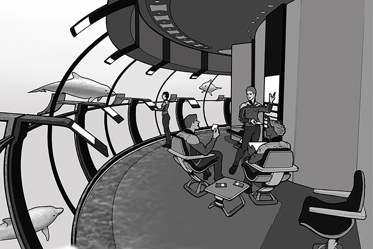 Enterprise-D-Cetacean-Ops-concept-art.jpg