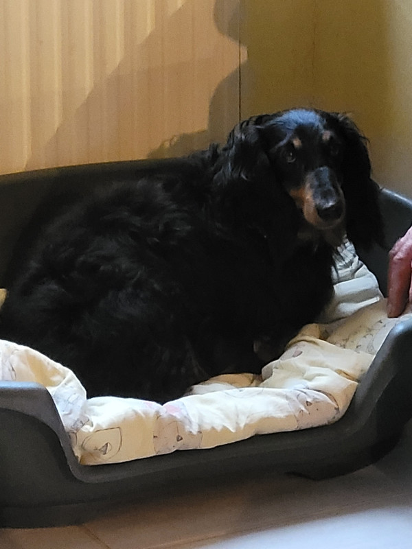 [Image: IMG-20240708-072934.jpg]