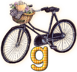 Bici Porta Flores  G