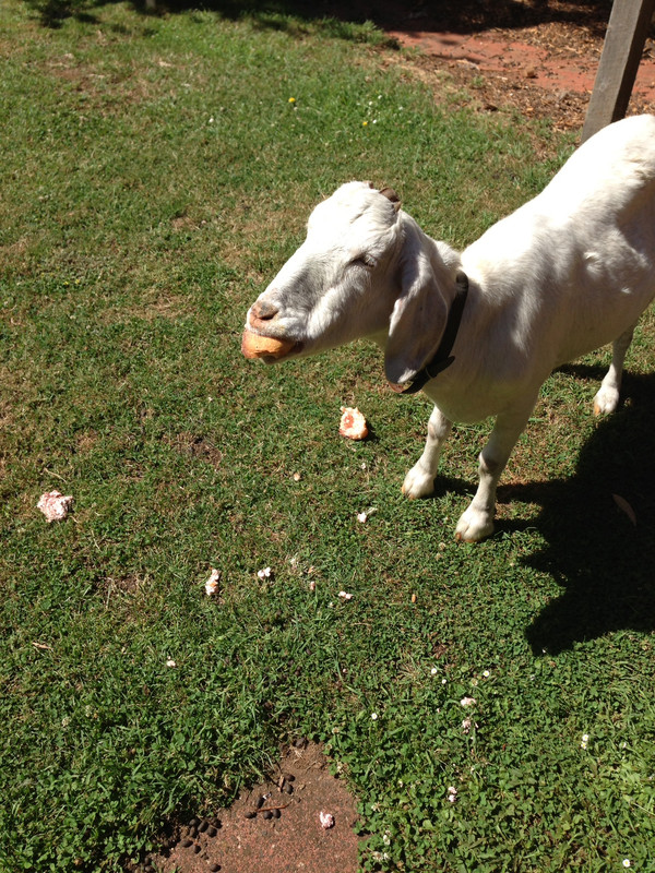 A775D1AC-5E64-426D-9D07-5A549C9D7212