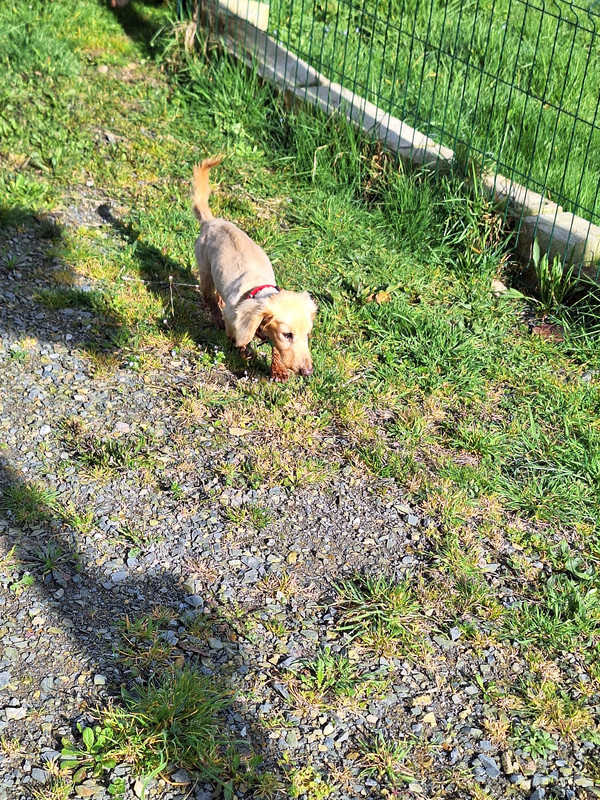 [Image: 20240314-105217.jpg]